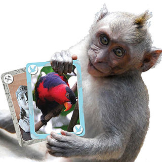 Card Games