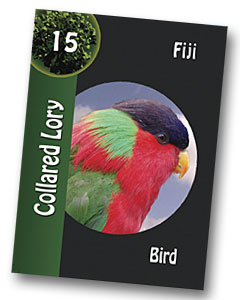 Komodo Game Lory Playing card