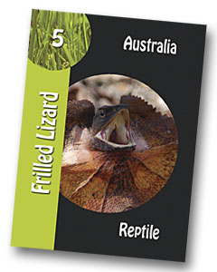 Komodo Board Game Frilled Lizard Playing card