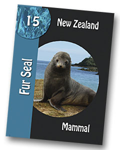 Komodo Board Game Fur Seal Playing card