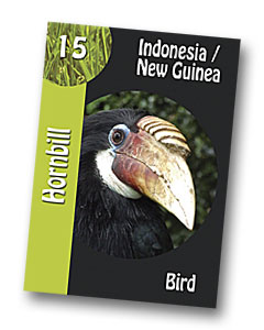 Komodo Board Game Hornbill Playing card