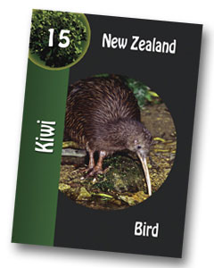 Komodo board game Kiwi playing card