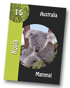 Komodo board game koala playing card