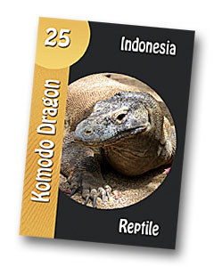 Komodo board game Komodo dragon playing card