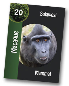 Komodo Game Macaque Playing card
