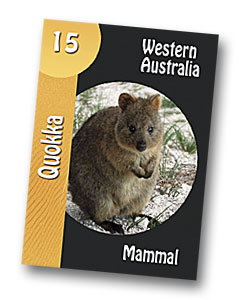 Komodo board game quokka playing card