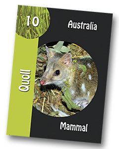 Komodo board game quoll playing card