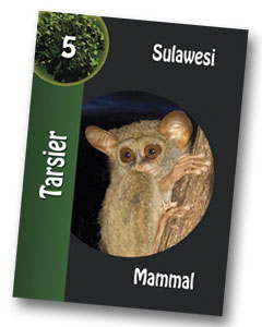 Tarsier playing card in the Komodo Board Game