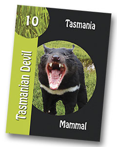 Komodo board game tasmanian devil playing card