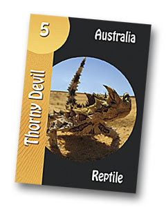 Komodo board game thorny devil playing card